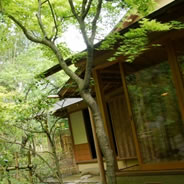 今年のGWはお天気にも恵まれて、深緑が眩しいほど！　外の席も人気でした。