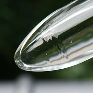 竹みたいだけど、これも全部ガラスです。それぞれパーツごとに組み立てられるようになってるんだそうです。