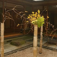 竹みたいだけど、これも全部ガラスです。それぞれパーツごとに組み立てられるようになってるんだそうです。