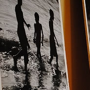 世界中のいろんなところに、いろんな生活がある。その場にいれば見逃しそうな一瞬がここにはたくさん詰まっていました。