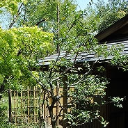 今年のGWはお天気はよかったのですが、気温が上がらず肌寒い日が多かったですね。でもあちこちに春らしい気配も。
