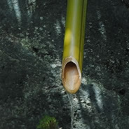 今年のGWはお天気はよかったのですが、気温が上がらず肌寒い日が多かったですね。でもあちこちに春らしい気配も。