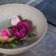 カフェやギャラリーには季節の美しい花が彩りを添えてくれました。