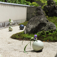 ころんとした球体から季節の花がスッと立ち上がるオブジェのような芝眞路さんの花入。