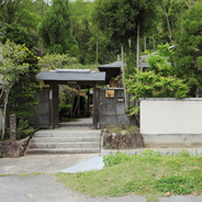 いつもこの時期は新緑の季節。いろんな部屋から違う景色をお楽しみいただけます。