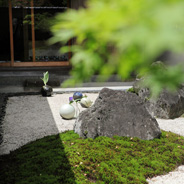 いつもこの時期は新緑の季節。いろんな部屋から違う景色をお楽しみいただけます。