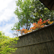 いつもこの時期は新緑の季節。いろんな部屋から違う景色をお楽しみいただけます。